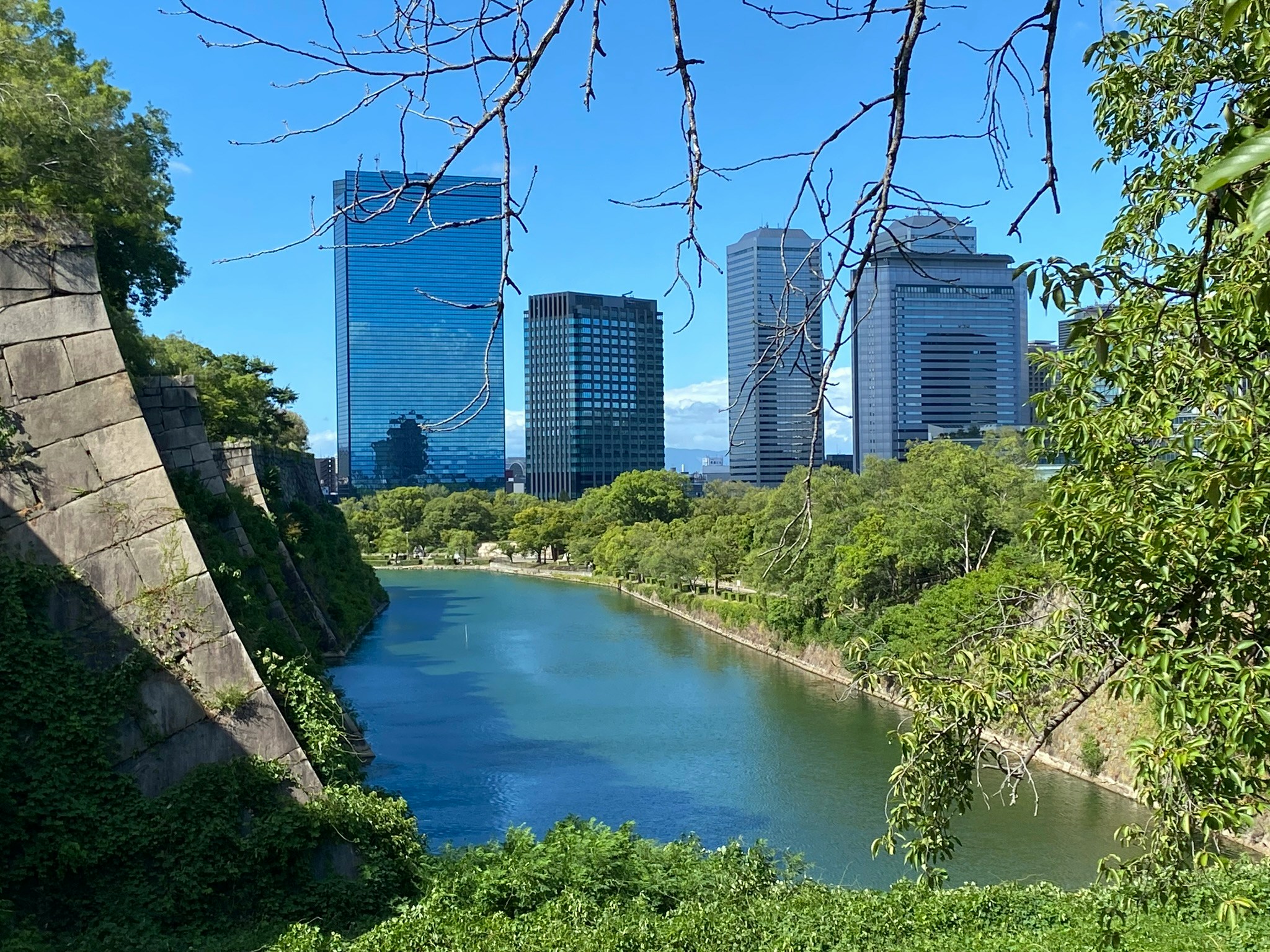 Creating Outdoor Spaces: The Role of Architecture in Connecting with Nature